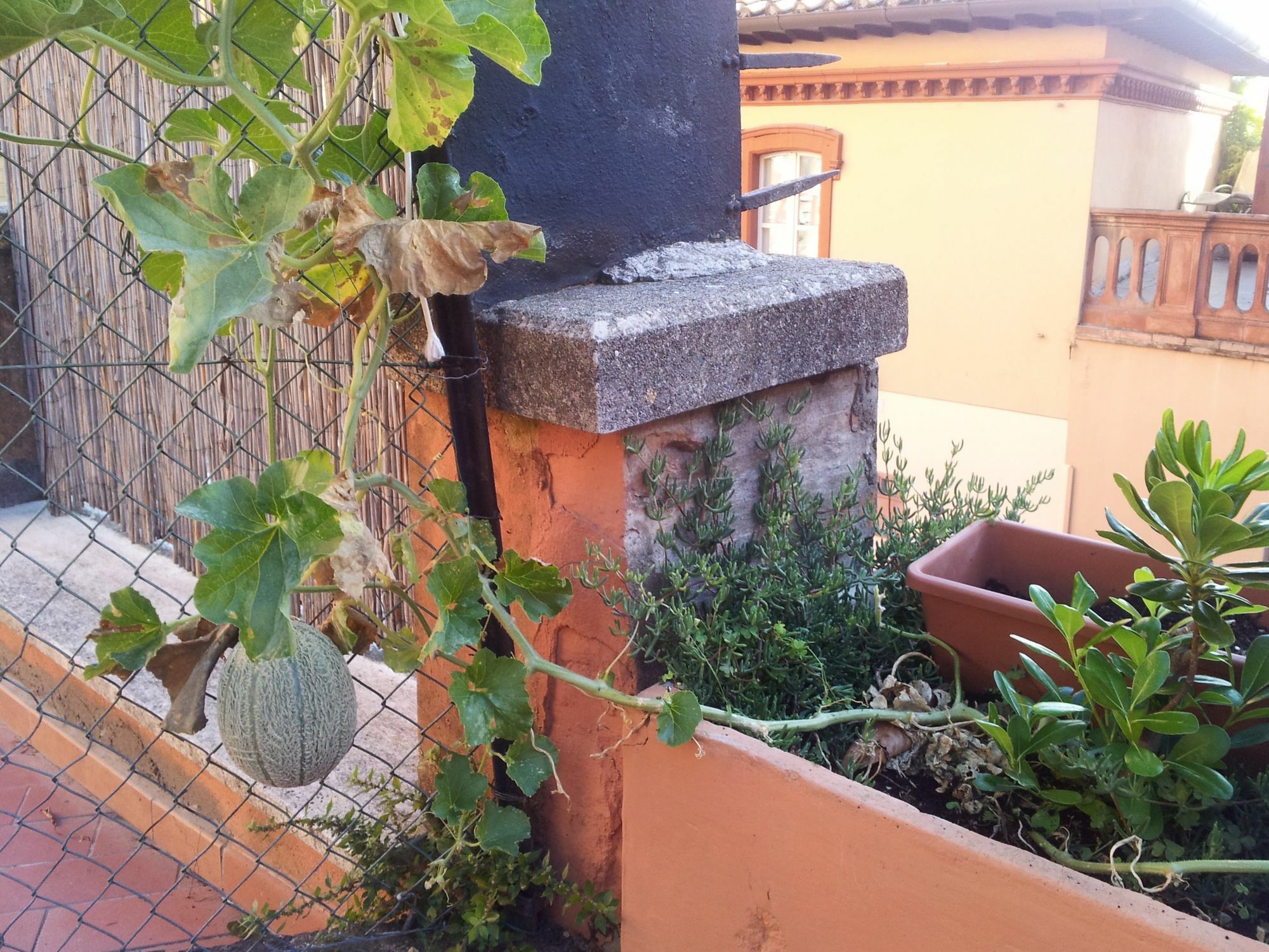 Al Giardino Di Alice Bed & Breakfast Perugia Eksteriør bilde
